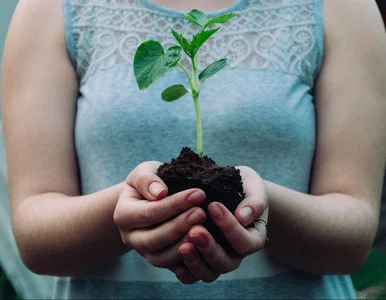 Miniatura: Światowy Dzień Ziemi. Kiedy obchodzimy w...