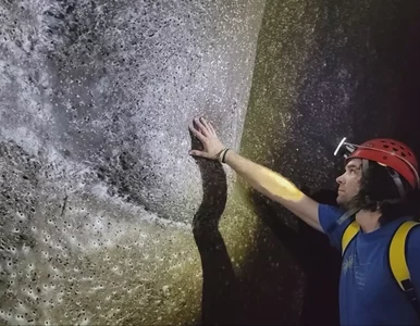 Miniatura: Żyją w całkowitej ciemności, 111 tys....