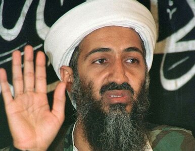 Miniatura: Bin Laden wciąż głównym celem Amerykanów