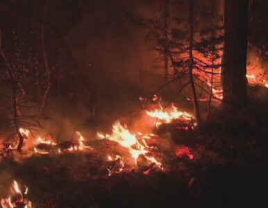 Miniatura: Pożar lasu w Kalifornii. Oskarżony o...
