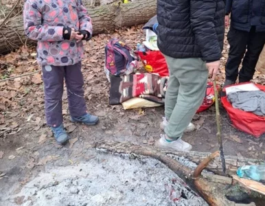 Miniatura: Od miesięcy błąkają się po Warszawie....