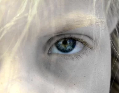 Miniatura: Nie ma woli politycznej, by zasadę...