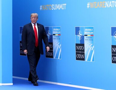 Miniatura: Donald Trump chce, by kraje NATO wydawały...