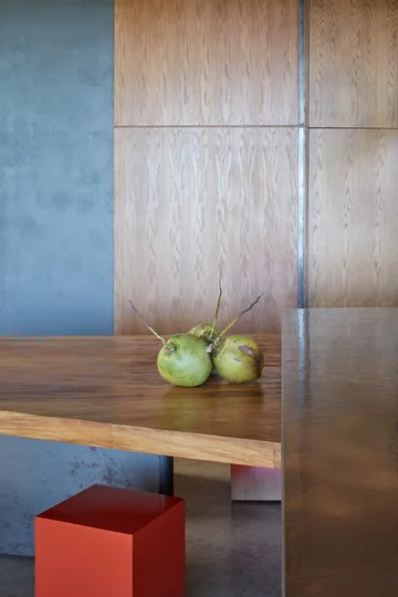 Willa w Kostaryce, wnętrza projektu Formafatal, architektura - Refuel works Kostaryka, Linka, Boysplaynice, Formafatal, Refuel works