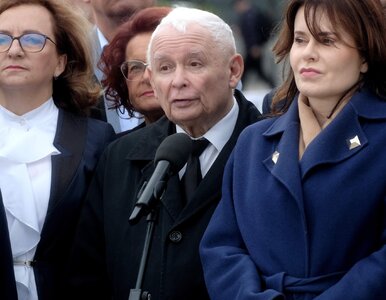 Miniatura: „Tłuste koty” na celowniku PiS. Tak...
