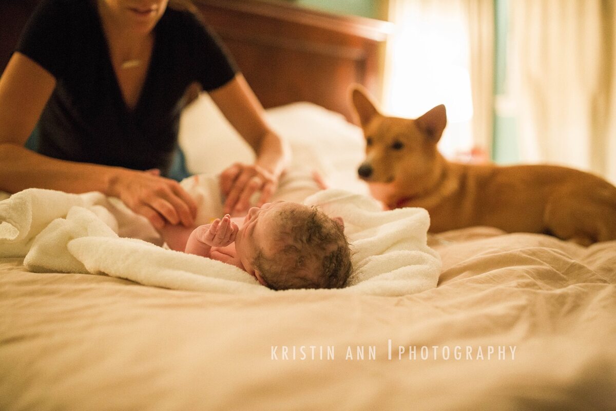 Pies Ranger towarzyszył swojej pani podczas porodu w domu 
