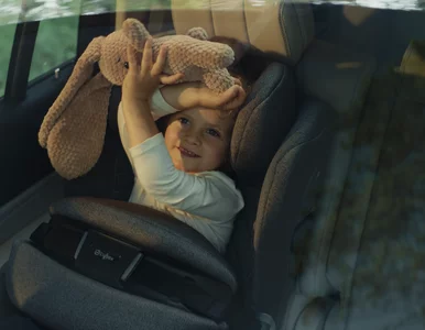 Miniatura: W bezpieczeństwie nie ma miejsca na...