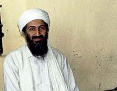 Miniatura: Bin Laden zastanawiał się nad zmianą nazwy...