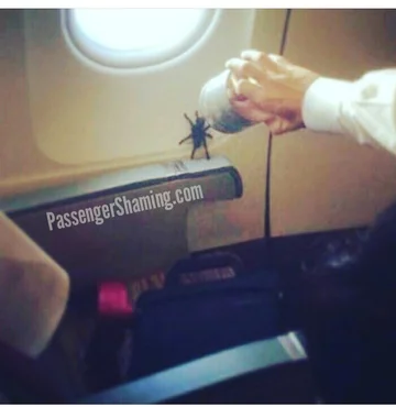 Dziwne zachowania i znaleziska w samolotach. Zdjęcie z profilu Passenger Shaming 