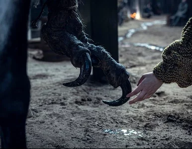 Miniatura: Wiedźmin. Uniwersum powiększy się o...