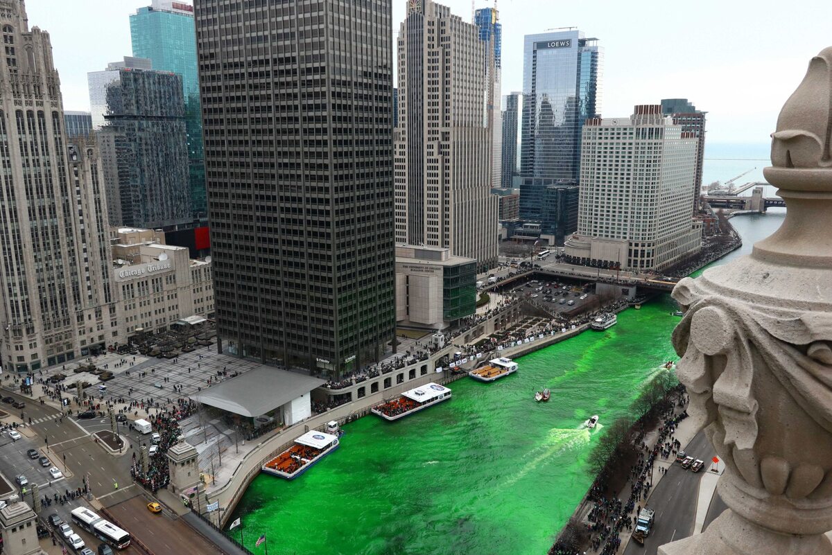 Zielona rzeka w Chicago 