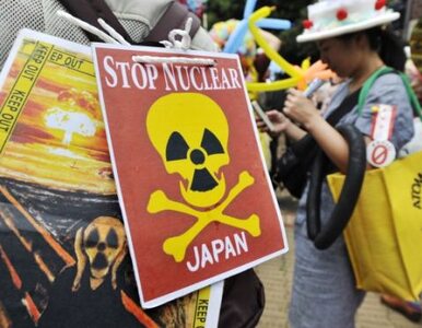 Miniatura: Japonia: Fukushima będzie państwową...