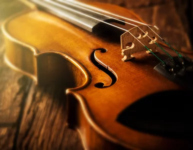 Miniatura: Zostawiła warte 2,6 mln dolarów skrzypce...