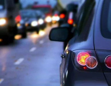 Miniatura: Kraków zarezerwował 16 mln zł na...