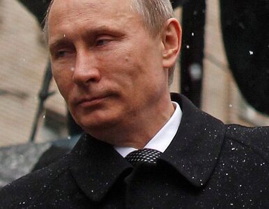 Miniatura: Posłanka PiS: Putin to morderca
