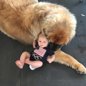 Lamont i jego przyjaciele 