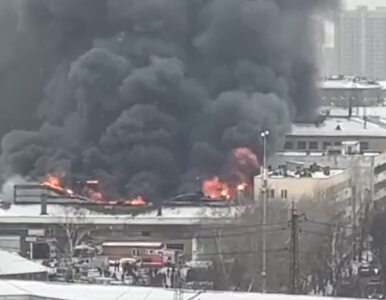 Miniatura: Ogromny pożar na północy Moskwy. W akcji...