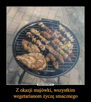 Memy na majówkę 
