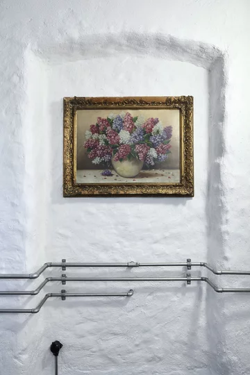 Destylarnia w Javornicach, projekt ADR Linka, Javornice, jabłka