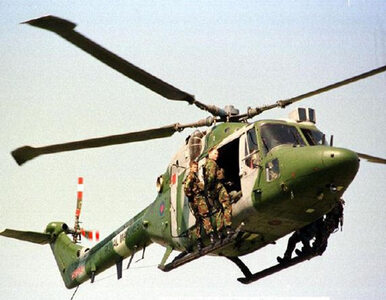 Miniatura: Kenia: komandosi SAS szukają uprowadzonej...