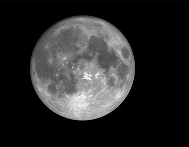 Miniatura: Chiny wysyłają na Księżyc "Nefrytowego...