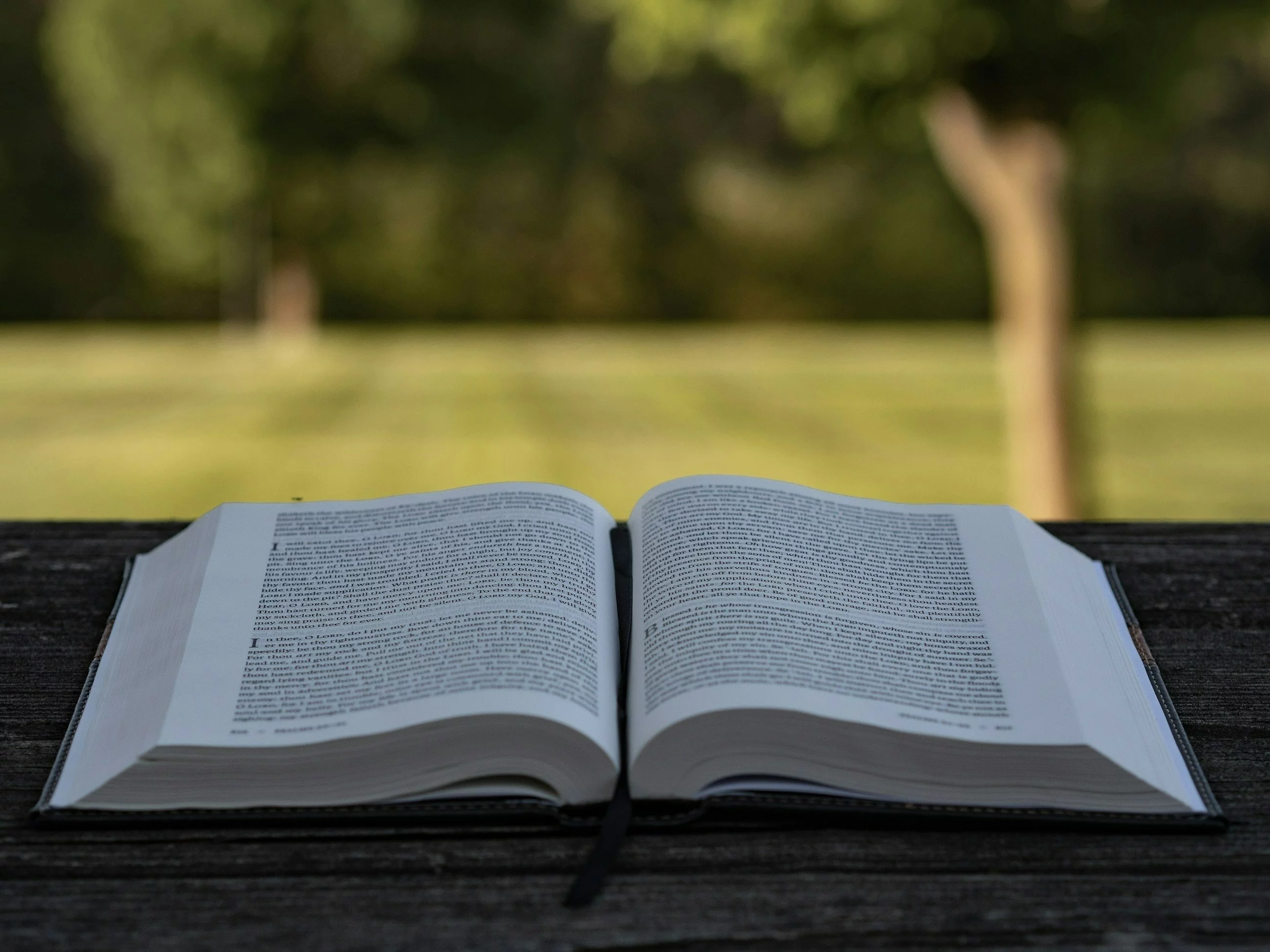 10 trudnych słów. Czy znasz ich znaczenie?