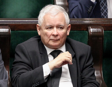 Miniatura: Kaczyński ostrzega przed „siłami starego...