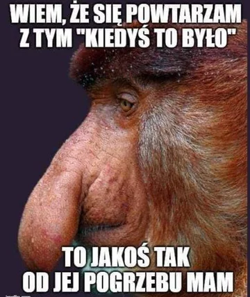 Smutny mem z nosaczem 