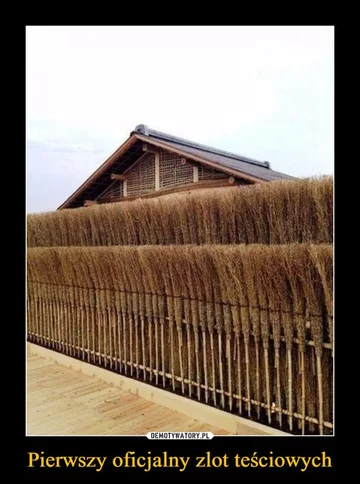 Mem z okazji Dnia Teściowej 