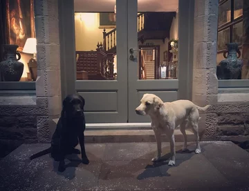 Olive i Mabel 