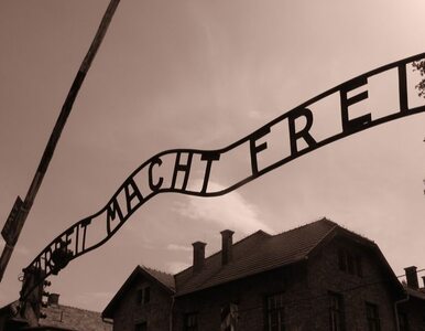 Miniatura: Auschwitz-Birkenau w parodii politycznego...