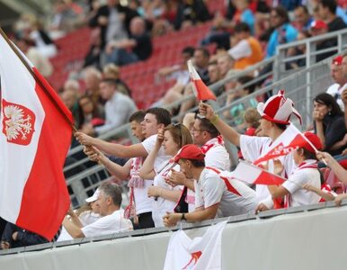 Miniatura: Z wuwuzelą na stadion nie wejdziesz