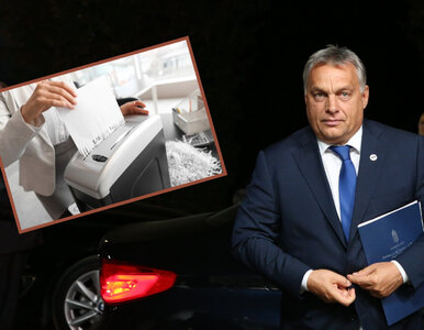 Miniatura: Tuż po wyborach zaczęli gorączkowo...