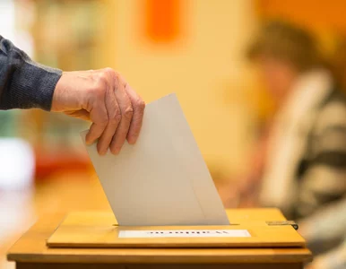 Miniatura: Sondaż: PiS z samodzielną większością, ZL...