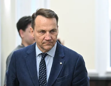 Miniatura: Sikorski nie wytrzymał po słowach...