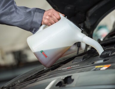Miniatura: Zmień olej przed zimą - ulżysz silnikowi