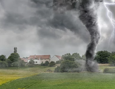 Miniatura: Tornada w USA, nie żyje kilka osób....