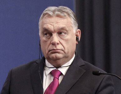 Miniatura: Viktor Orban zdenerwował Chorwatów....