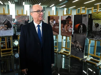 Miniatura: Ustawa łańcuchowa nie przejdzie. Sejm nie...