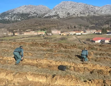 Miniatura: Chcieli posadzić drzewa, teraz mają...