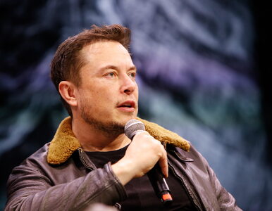 „Ok, poproszę milion”. Elon Musk zafundował nam własnie ogromny las