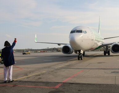 Miniatura: Nowa tania linia w Polsce. „Lot wyjątkowy...