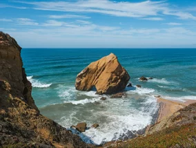 Miniatura: Sensacja przy turystycznej plaży w...