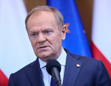 Miniatura: Los wiceministra wisi na włosku? Tusk:...