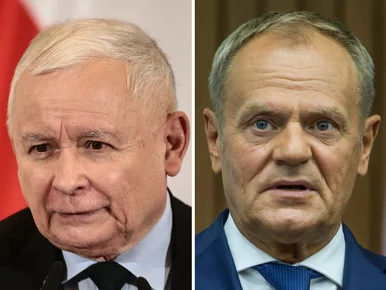 Miniatura: Nowy sondaż partyjny. KO wyraźnie przed...