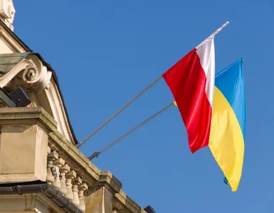 Miniatura: 800 plus i bezpłatna opieka zdrowotna dla...