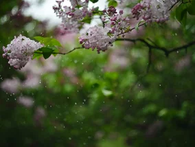 Miniatura: Taka będzie Wielkanoc. Jest nowa prognoza...