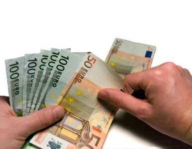 Miniatura: Euro? Polacy nie chcą europejskiej waluty