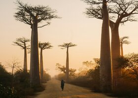 Miniatura: Quiz ze stolic. Jeśli trafisz 100%,...