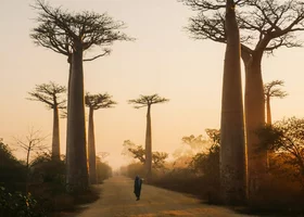 Miniatura: Quiz ze stolic. Jeśli trafisz 100%,...